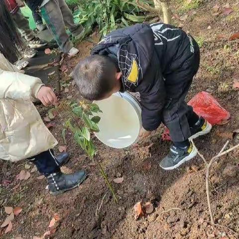 幼儿园一周精彩瞬间