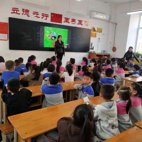 南阳市实验学校一六班趣味课【植物的分类】