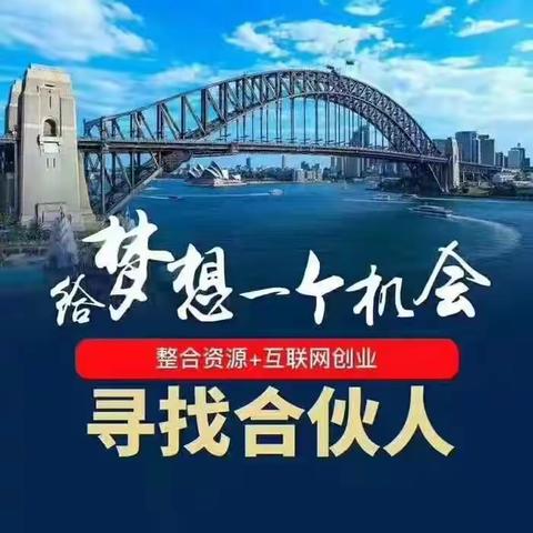 安利式创业七大系统，哪个系统团队比较好