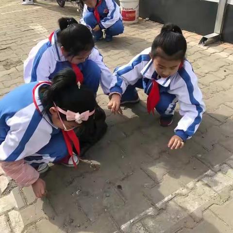 学雷锋，树新风—榆林市逸夫小学志愿服务活动