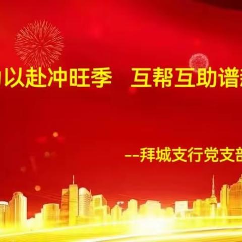 阿克苏拜城支行党支部召开“全力以赴冲旺季 互帮互助谱新篇”--支部党员大会