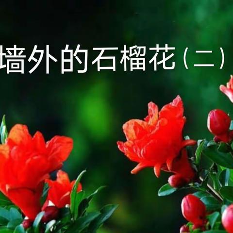 城墙外的石榴花（下）