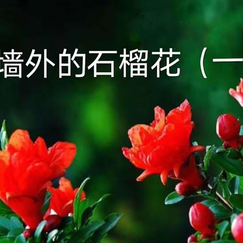城墙外的石榴花（上）