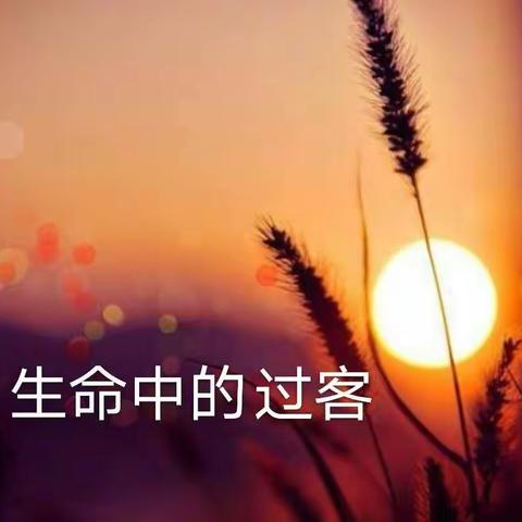 生 命 中 的 过 客