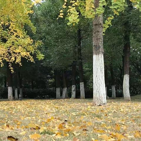 简阳市鳌山徒步