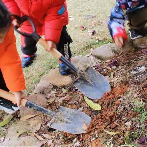 “相逢植树节，爱在春天里”———朝阳幼儿园乐乐班