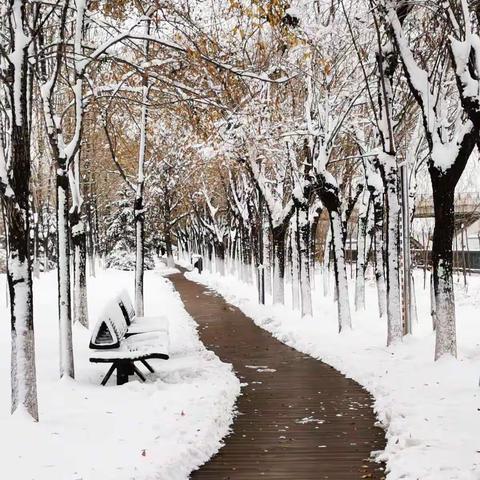 又是初冬好雪景