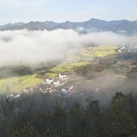 苦寒香的美篇