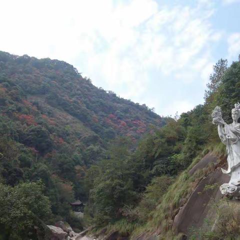 念念