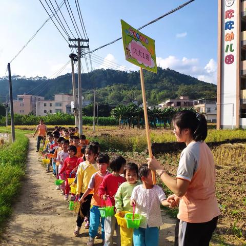 走进田间感受生活—欣欣幼儿园