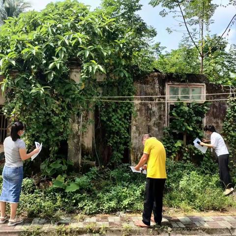 东山镇镇南居委会开展2022年第三季度非法种植制毒原植物踏查铲除专项排查行动