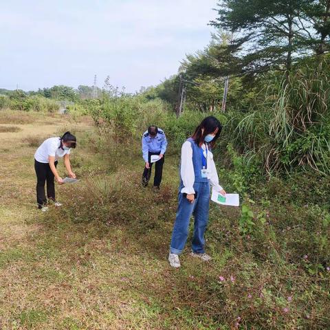 东山镇镇南社区开展第四季度非法种植制毒原植物踏查铲除专项行动
