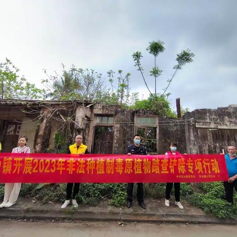东山镇开展2023年第一季度非法种植制毒原植物踏查铲除专项行动