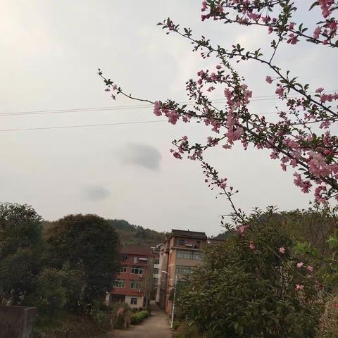 春暖花开、鸟语花香