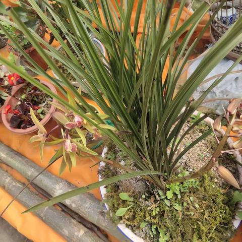 组织开展非聚集性家庭医生签约活动