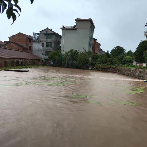 台风“黑比格”肆虐发飘