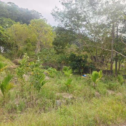 县委常委、县人民政府副县长张志强带队开展台风“纳沙”期间地灾排查工作