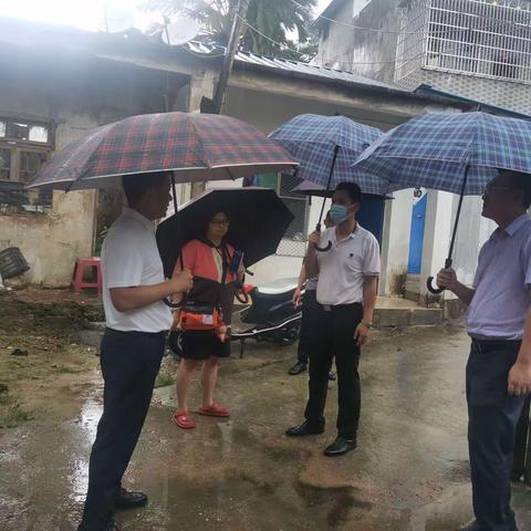 琼中县县委常委、县人民政府副县长张志强带队开展台风“奥鹿”期间地质灾害隐患点排查工作