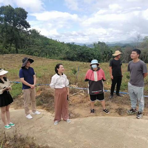 县资规局会同营根镇政府、海鼎公司到雨林小巷（原名禅意小巷）项目现场查看边坡情况