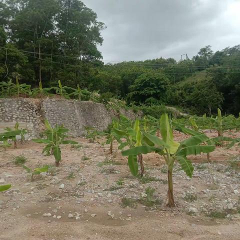 琼中县资规局开展矿山巡查