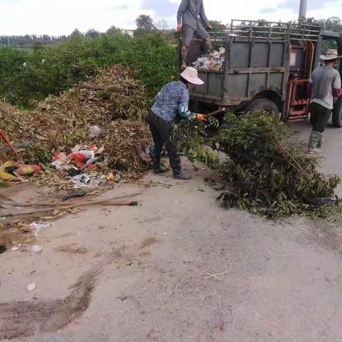 黎安镇持续开展登革热防控工作