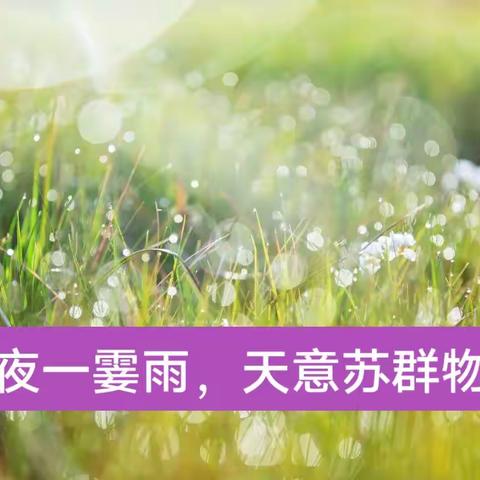 飒飒东风细雨来，泽润万生在枯荄——记大码头镇西刘桥小学数学教研