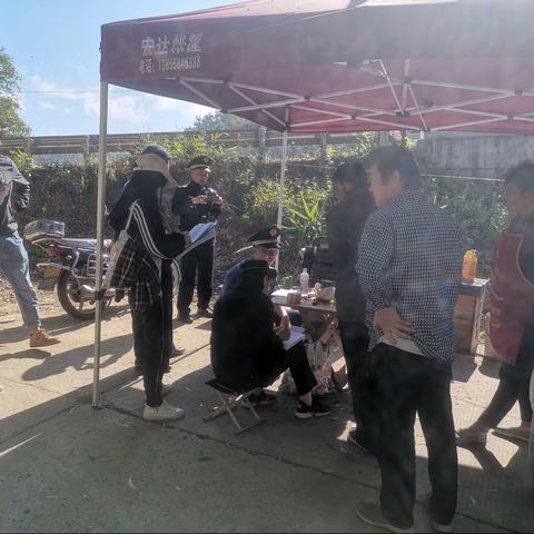 养蜂整治专项行动