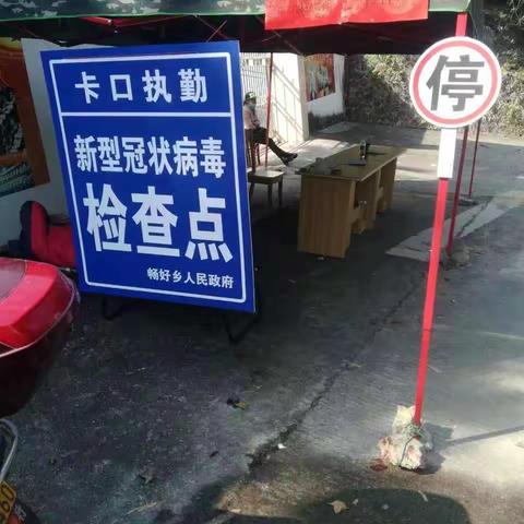 五指山市组织引导开展村庄环境卫生整治，防范新型冠状病毒