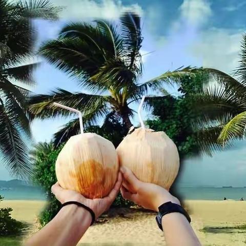 暖流  雨林  槟榔