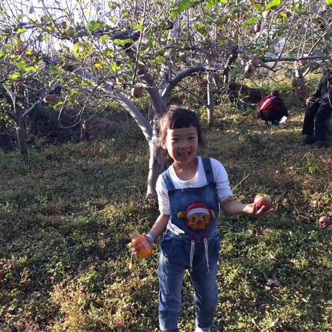 恋上一种味道，🍎的香甜。