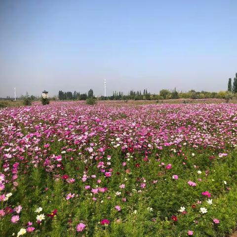 国交中心花田整治前后