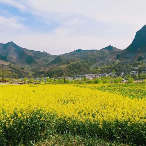 法官秦岭原乡景区“重启”，我们已经就位，你准备好了吗？（文末有彩蛋）