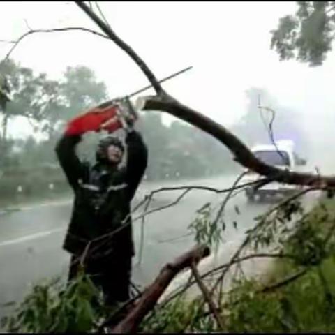 老城镇冒雨清理道路障碍，确保道路畅通