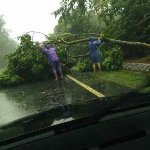 老城镇积极开展受灾自救工作