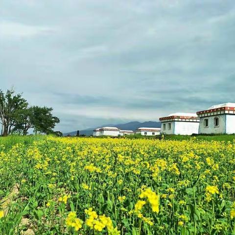 放飞梦想，倾情西北！