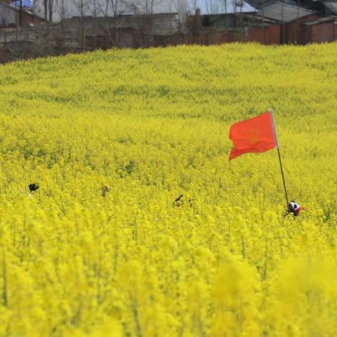 学在路上---青年路小学五年级组开展研学实践