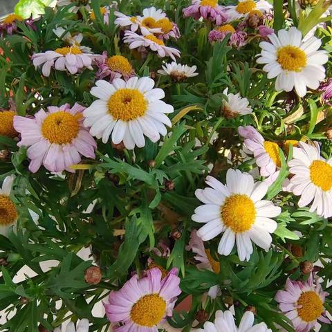 新年新气象——开启新篇章