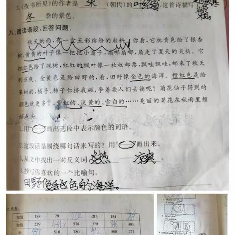 一岁一欢喜，岁岁要学习