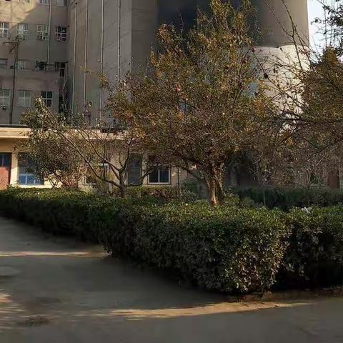 濮阳市红生面业有限责任公司欢迎您（副本）