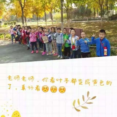 大三班的秋游之旅