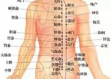 背部摸穴诊病常用的方法解说