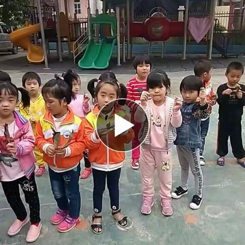 收集树叶，我们来拼贴图案咯