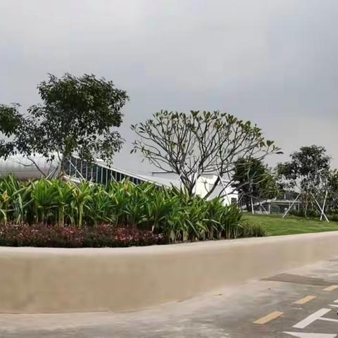 园林所项目周报11月18日