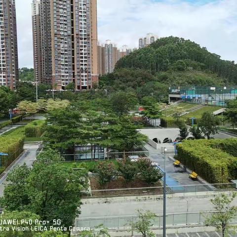 万科云层北绿廊