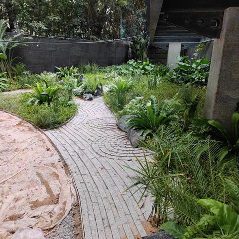 园林所项目周报12月19日