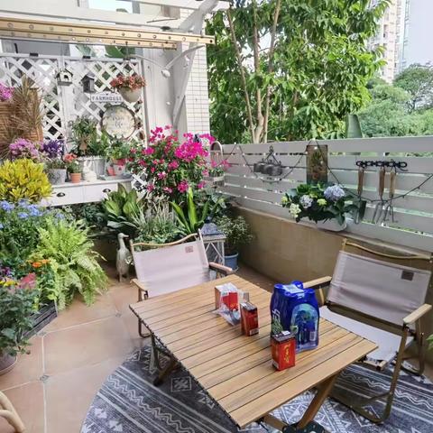 园林所项目工程进度周报11月6日