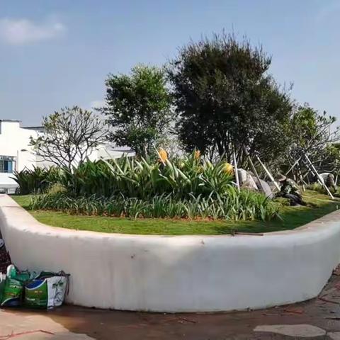 园林所项目周报11月11日