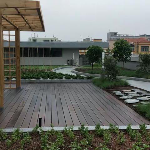 园林所项目周报11月25日