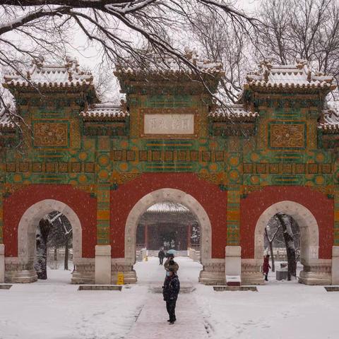 北京虎年首雪