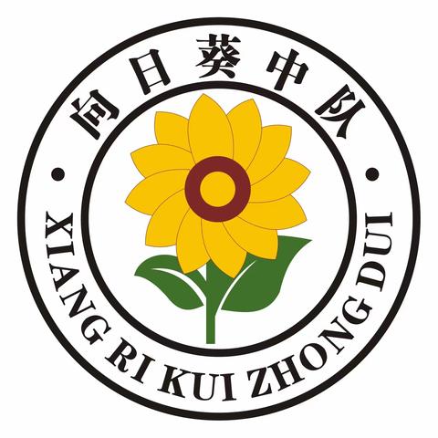 最是三善能致远——大洋路小学301中队总结回顾